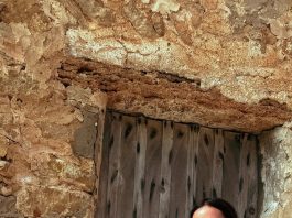 El álbum de fotos de las vacaciones de Gisela Dulko en Ibiza: el mensaje especial que compartió