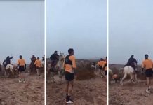 Escándalo en Río Negro: un grupo de jinetes atacó a corredores durante una competencia