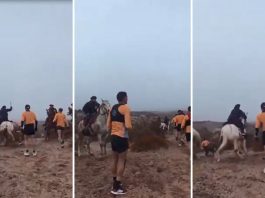 “Fue predeterminado”: qué dijo la organización del evento donde un grupo de jinetes agredió a unos corredores