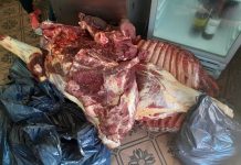 Imputaron a los dueños de la carnicería donde encontraron más de 100 kilos de marihuana en un freezer