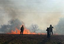 Incendios en Salta: habrá multas de hasta 2 millones de pesos por iniciar quemas