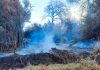 La Justicia de Salta prohibió realizar loteos en un terreno de Cafayate incendiado hace dos meses