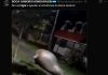 Los mejores memes del sufrido triunfo de Boca por penales frente a O’Higgins: Figal y Aranda, los elegidos