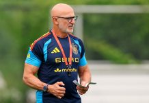 Qué dijo Luis de la Fuente sobre la chance de ponerle un “marcaje especial” a Lionel Messi en la final del Mundial