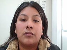 Se negó a que le secuestren el auto en un test de alcoholemia, mordió a una policía y terminó detenida