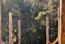 Un duelo cambió para siempre su estilo de vida y construyó su casa con lo que otros desechan: “Hice las paredes con pasto del vecino”