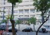 Un hombre encontró restos óseos cuando cortaba leña cerca de una ruta de Santiago del Estero