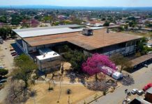Un hombre mató a tiros a su pareja en Salta y quedó detenido