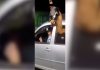 Video: un agente penitenciario de Mendoza salió a festejar con una llama en el auto y fue denunciado por maltrato