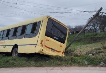 Ataque salvaje en Tucumán: un delincuente se hizo pasar por un pasajero, apuñaló al chofer de un colectivo y provocó un choque