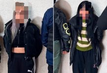 Cayeron en la trampa de dos “viudas negras”, las invitaron a cenar y les robaron
