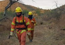 Córdoba bajo riesgo extremo por incendios forestales: cuáles son las medidas preventivas