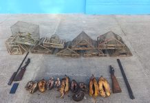 Detuvieron a cuatro hombres por caza ilegal en Córdoba: les encontraron armas, animales silvestres y perros