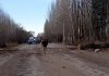 Dos personas murieron en Mendoza al caer un árbol sobre una camioneta por el fuerte viento