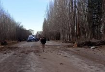Dos personas murieron en Mendoza al caer un árbol sobre una camioneta por el fuerte viento