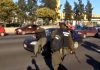 El “gendarme carancho” que fingió haber sido atropellado sobre Panamericana durante una manifestación irá a juicio