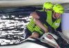 El golpe de Ralf Schumacher en una carrera de motos de agua que lo llevó al quirófano: “Quizá estoy viejo para estas tonterías”