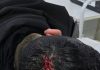 Escaparon de un control, se escondieron en una casa y agredieron a la Policía: hay tres detenidos