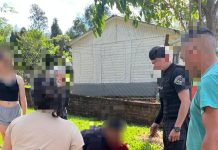 Horror en Misiones: una mujer de 93 años ingresó al patio de una vecina y murió tras el ataque de un perro