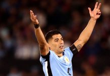 Impacto en la selección de Uruguay: Diego Forlán podría volver a convocar a Luis Suárez luego de su retiro hace dos años