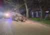 Manejaba alcoholizado mientras discutía con su pareja, chocó contra un arbol y volcó en Mar del Plata