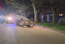 Manejaba alcoholizado mientras discutía con su pareja, chocó contra un arbol y volcó en Mar del Plata