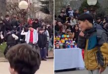 Mar del Plata: se juntaron a “farmear aura” en una plaza pero los atacaron a piedrazos