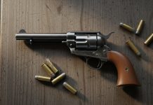 Nuevos requisitos para la portación de armas: cuáles son los trámites y qué cambia