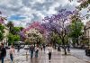 Se espera un domingo primaveral en el AMBA, mientras diez provincias estarán bajo alerta por tormentas, vientos y nevadas