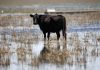 Sequías, inundaciones y desigualdad territorial: los desafíos que enfrenta la gestión del agua en la Argentina