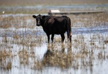 Sequías, inundaciones y desigualdad territorial: los desafíos que enfrenta la gestión del agua en la Argentina