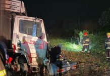 Siete muertos tras un choque entre un auto y un camión en la Ruta 192: cinco eran menores