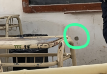Tucumán: un alumno de 14 años llevó un arma a la escuela y disparó dentro del aula