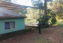 Un adolescente de 13 años murió tras recibir una descarga eléctrica en el techo de una escuela de Misiones