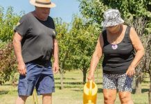 Una forma distinta de vivir la vejez: cómo funciona el modelo de viviendas compartidas para adultos mayores en Tapalqué