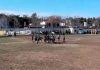 Video: un futbolista fue expulsado y golpeó a un árbitro durante un partido de fútbol amateur en Santa Fe