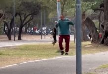 Catamarca: le iniciaron una causa judicial a un hombre que fue grabado ahorcando y pateando a su perro salchicha