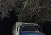 Chaco: intentó evitar que se le escape el ganado del camión, pero su hijo perdió el control, lo atropelló y murió