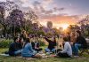 Comienza la primavera: 50 frases para enviar por WhatsApp