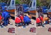 Córdoba: un pitbull atacó a una jubilada, la dejó en grave estado y los vecinos apuñalaron al animal para frenarlo