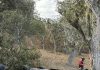 El estremecedor accidente en una de las curvas más peligrosas del mundo que terminó con un auto partido a la mitad