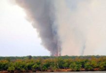 Incendio en el Delta: detectaron 36 focos y hay más de 1.700 hectáreas quemadas
