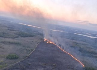 Incendio en Misiones: desplegaron un operativo para combatir el avance del fuego en la reserva Campo San Juan