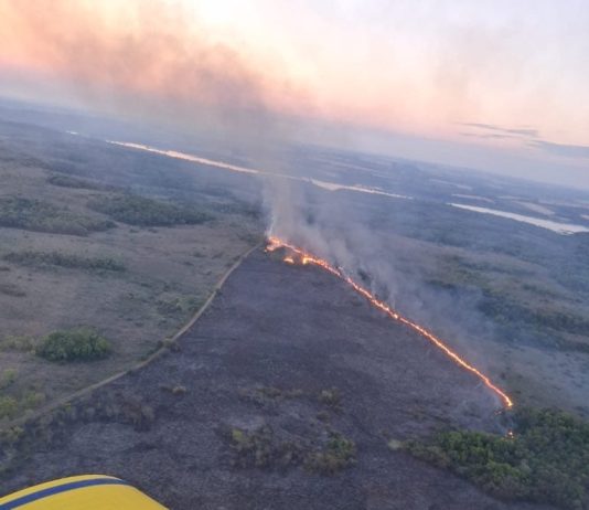 Incendio en Misiones: desplegaron un operativo para combatir el avance del fuego en la reserva Campo San Juan