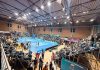 La ACLAV anunció un cambio de era en el voleibol argentino con la creación de la Superliga: “Queremos una competencia más atractiva”