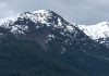 Las intensas lluvias en Neuquén provocaron un derrumbe de un cerro: dejó árboles flotando en el lago Nahuel Huapi