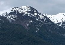 Las intensas lluvias en Neuquén provocaron un derrumbe de un cerro: dejó árboles flotando en el lago Nahuel Huapi