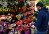 Primavera 2026: cuánto cuesta regalar flores y cuáles son las alternativas más económicas