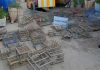 Rescataron 45 aves silvestres en San Juan y secuestraron 4 toneladas de leña nativa