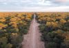 Alerta ambiental en el Chaco: desmontaron 1800 hectáreas de bosques nativos